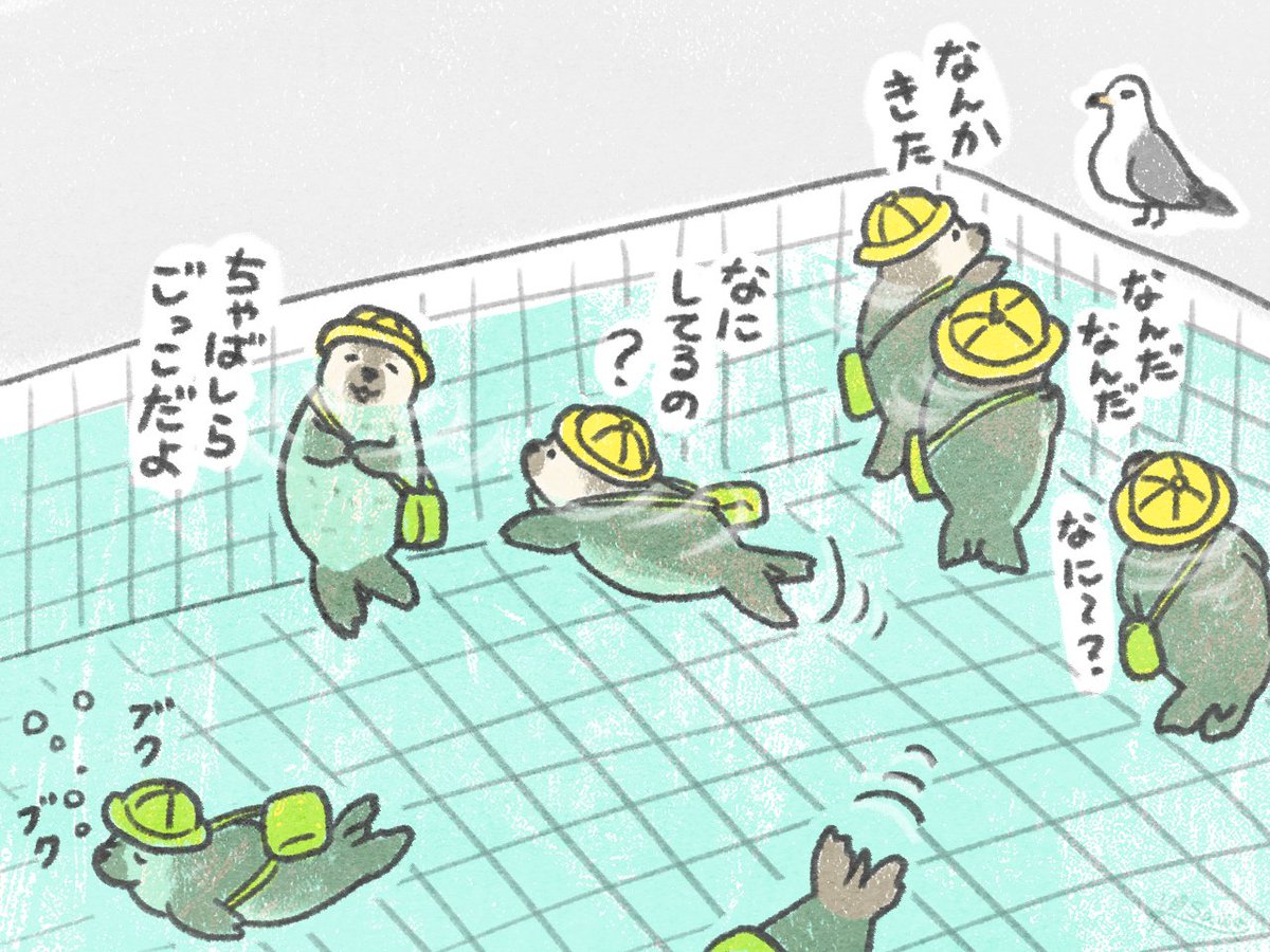 わちゃわちゃアザラシ幼稚園🦭 