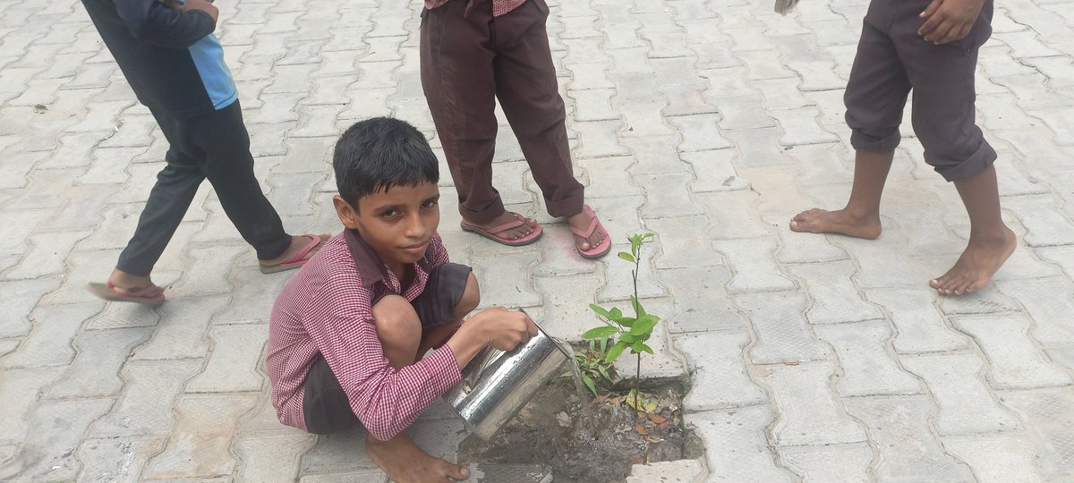 dhak_shiv's tweet photo. #प्रकृति_मित्र 🌱🌱
Name- HARSH 
Designation- STUDENT 
Address- PS Nadarmai, Amanpur, Kasganj 
@shikshansamvad  @teachersclubup @UNEP @eriksolheim @myogiadityanath @narendramodi
@aajtak @DEFCCOfficial @basicshiksha_up
साभार- टीम प्रकृति मित्र 
मिशन शिक्षण संवाद https://t.co/4FKbNXmw2R