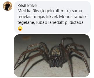 mono tweet media