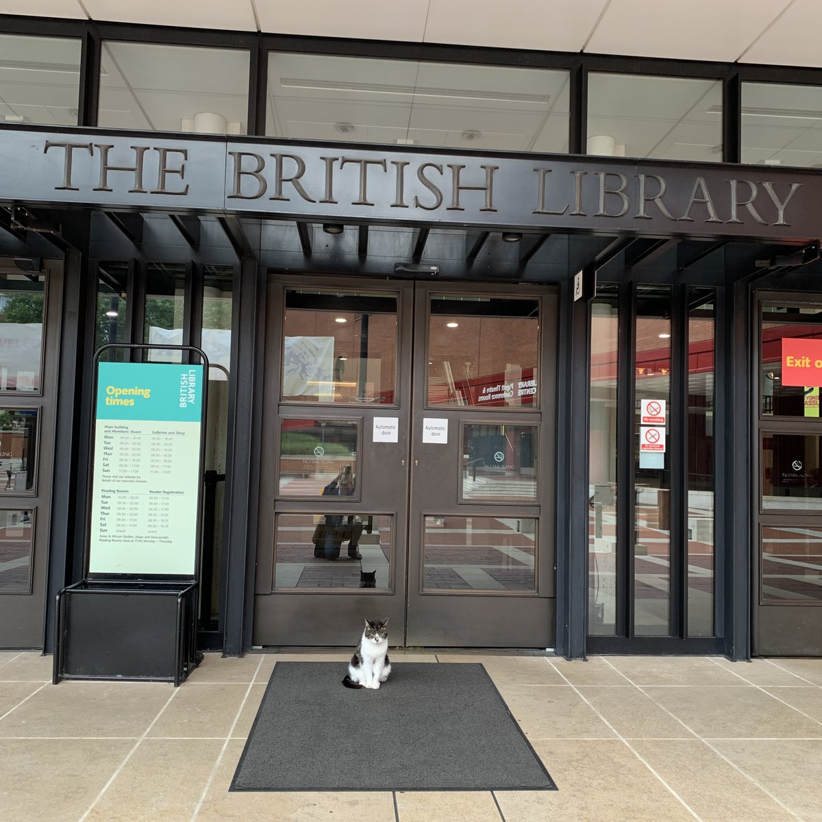 Stefano Villani (@stefanovil) on Twitter photo A cat waiting to start her day of research at the British Library <a href="/britishlibrary/">British Library</a>! Apparently, she is called Daisy
#CatsOfTwitter #LibraryCat A cat waiting to start her day of research at the British Library <a href="/britishlibrary/">British Library</a>! Apparently, she is called Daisy
#CatsOfTwitter #LibraryCat
