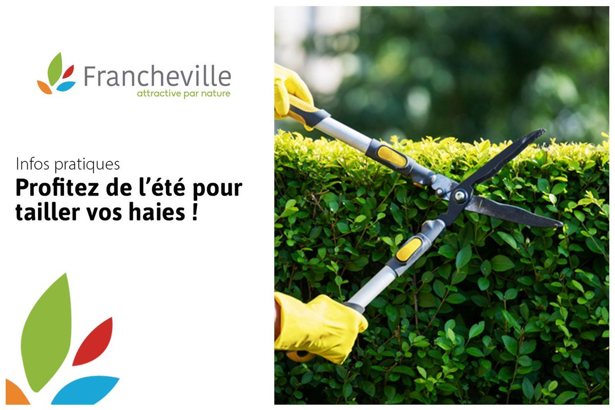 [INFOS PRATIQUES]

🌿Vous avez des haies, arbres et arbustes sur votre terrain ou vous souhaitez en planter ? Quelques règles doivent être respectées ! 

📱Plus d'informations sur le site de la Ville : buff.ly/3YefV2B