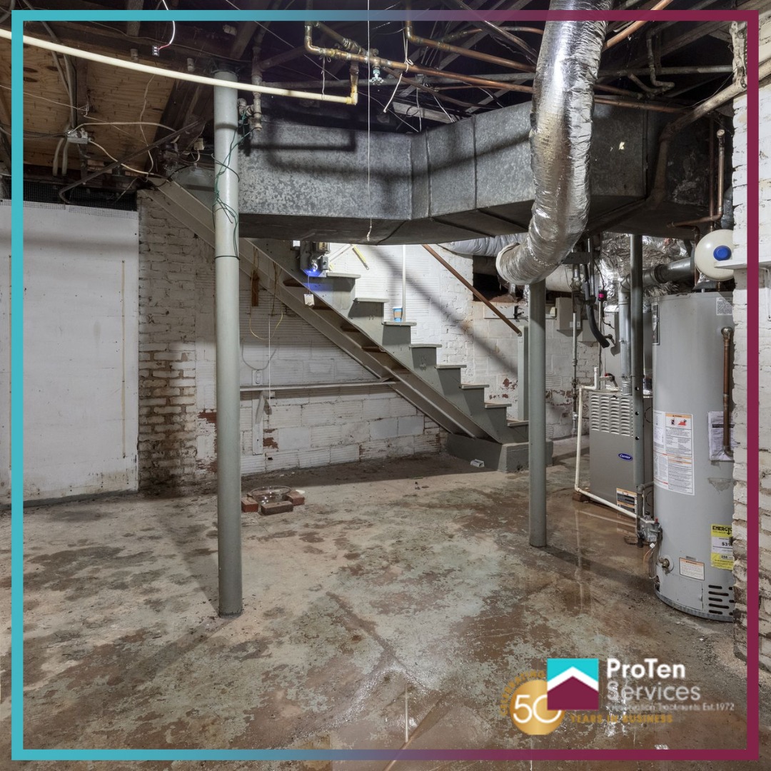 ProTenServices's tweet image. We work with homeowners and commercial clients to provide the expertise and technical experience that is so vital to success.💪

Contact us directly for further information.
☎️ 0800 012 6094

#dampproblems #dampprevention #dampinthehome #preservationservices