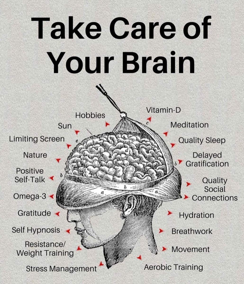 𝐓𝐡𝐞 𝐑𝐞𝐚𝐥𝐦 𝐨𝐟 𝐖𝐢𝐬𝐝𝐨𝐦 📖 (@realmofwisdom_) on Twitter photo 