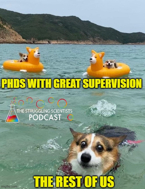 TheStrugglingS4's tweet image. Which corgi are you?