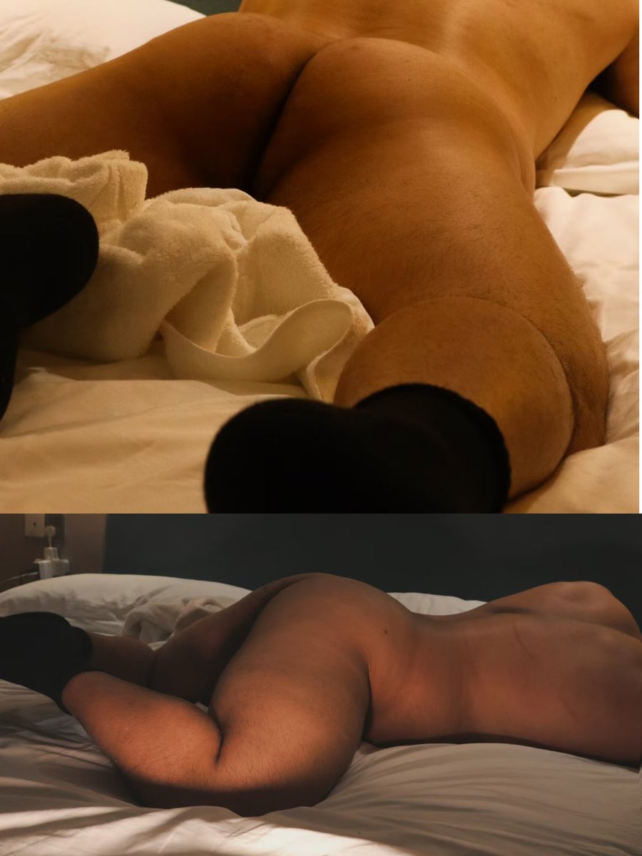 一只大辰Brown tweet media