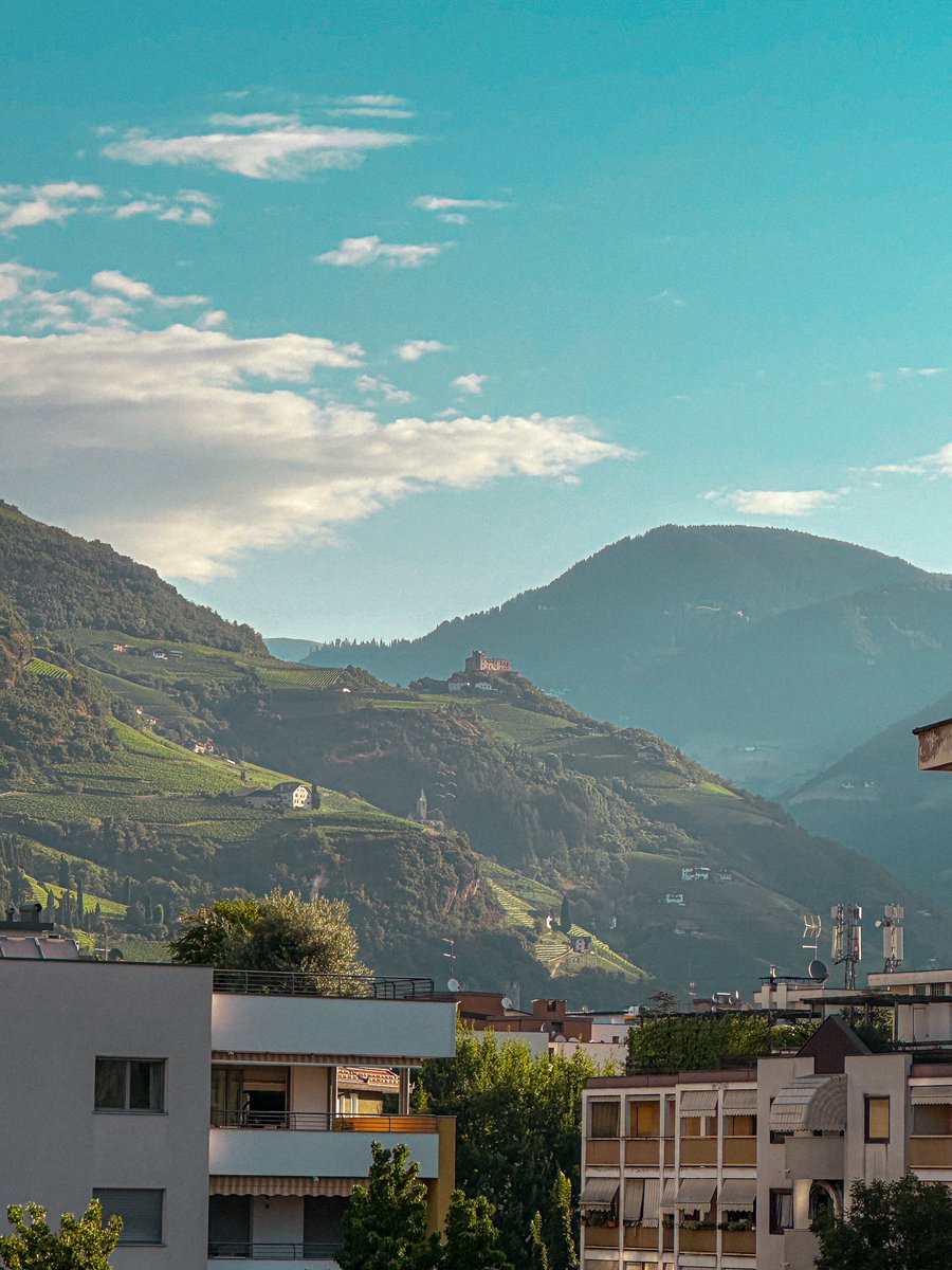 RevoltVR's tweet image. 💙