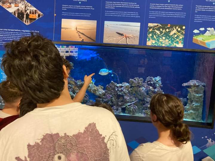 DBHko 2. A Madariaga dorretxera eta paduraren ingurua bisitatzera joan zen azken astean. Oso egun polita pasatzen dugu Urdaibai inguruko flora eta faunari buruz ikasaten.
 #DBH #escolapiosbilbao #aprendizajesignificativo #naturaleza #heziago