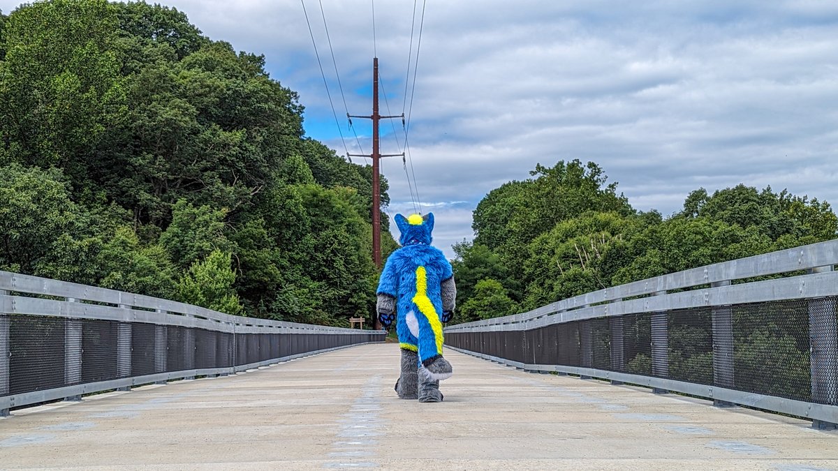 Would like to Officially introduce the updated SKY.  

Spent the time since my surgery building him to improve and show new techniques from my first ever suit build.  

First of many #FursuitFriday 💙💙💙💙