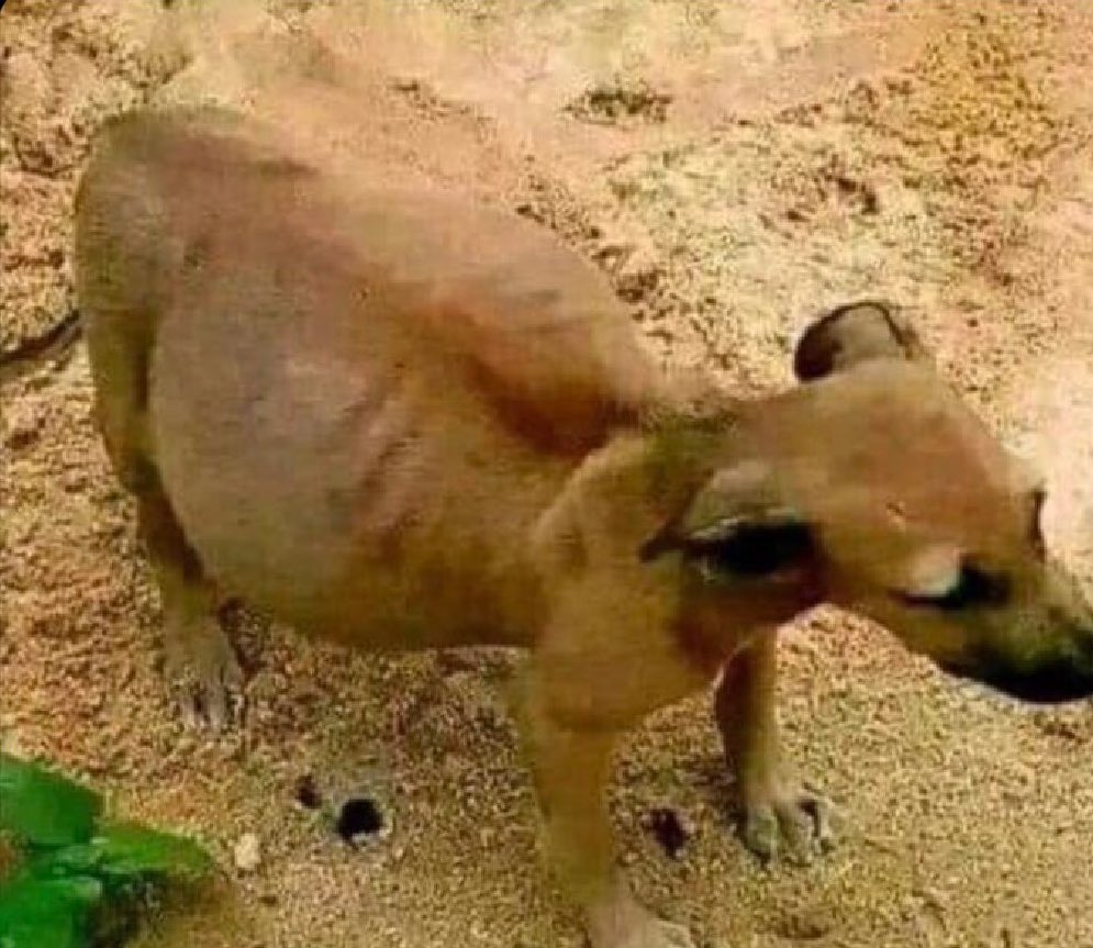Them after eating your partner while you are being moody.
