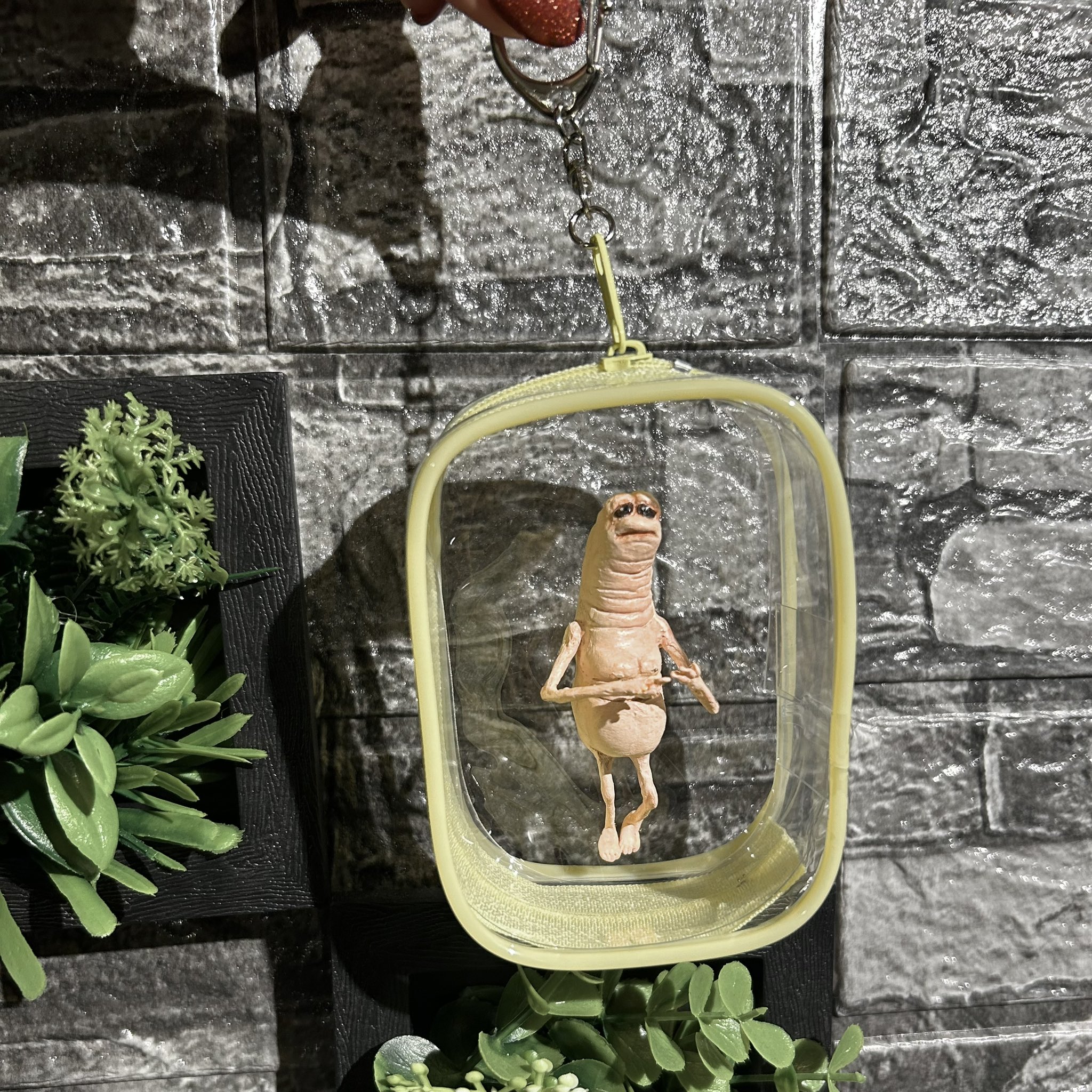 爬虫網肉食目テンジクネズミ科 (@bonten_zikuso) / X