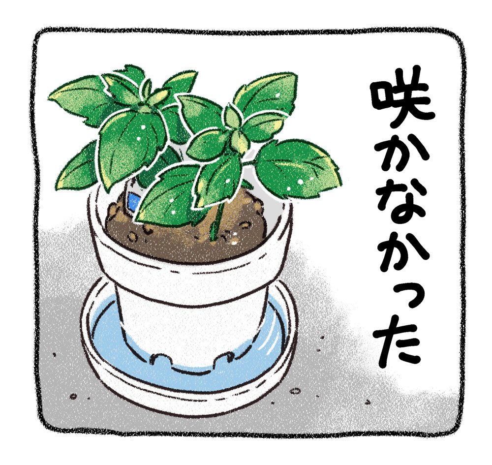 去年のなんでやねん
#漫画が読めるハッシュタグ 