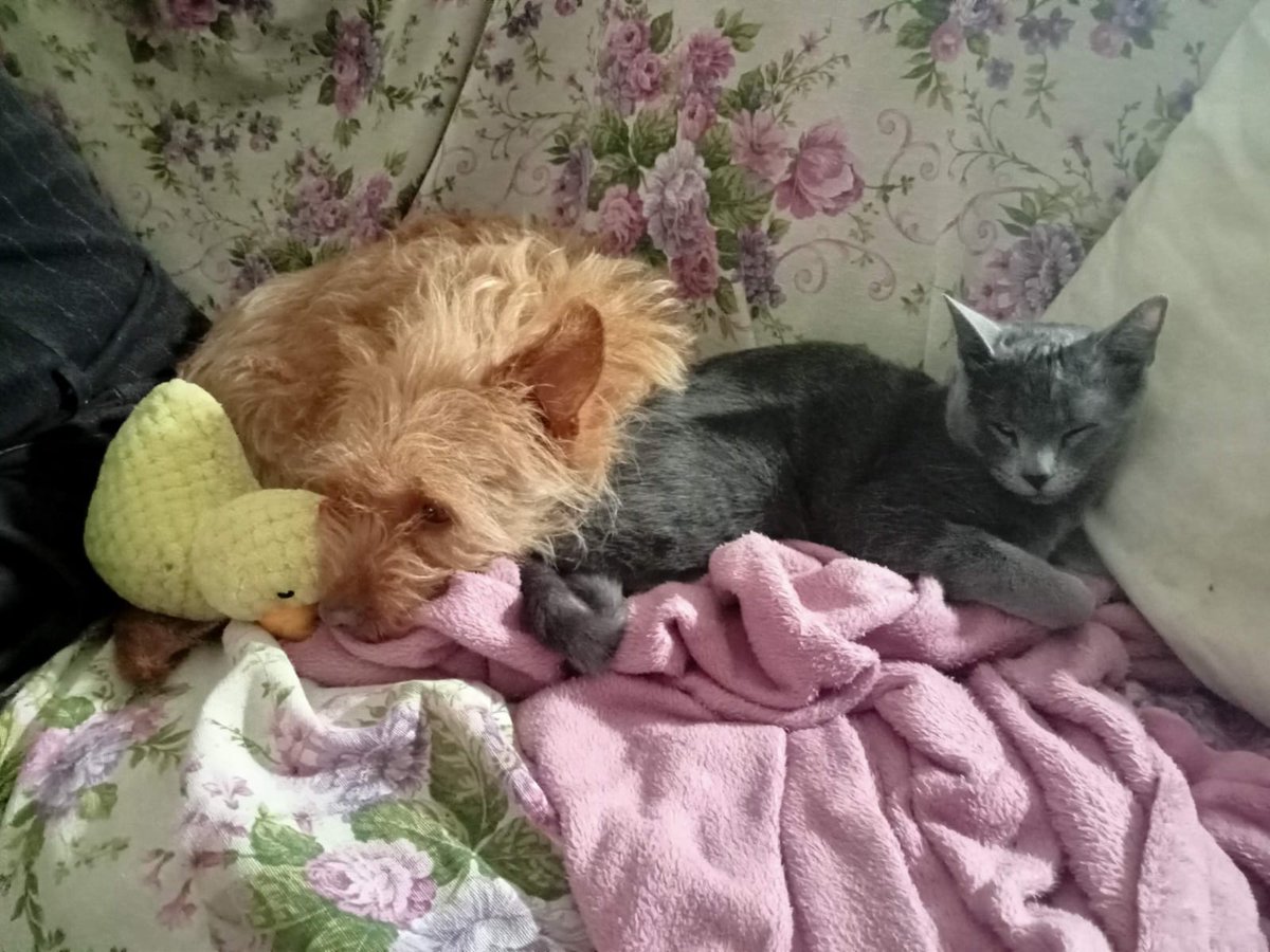 Javithekiller1's tweet image. 😍😍😍😍