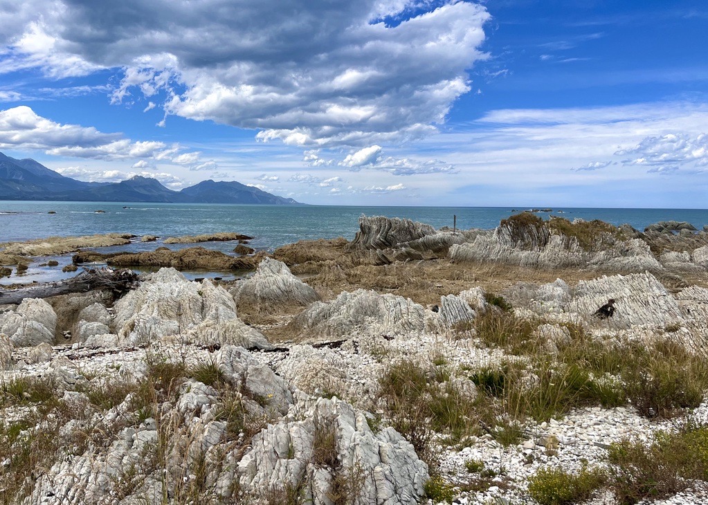 AppliedGeology_TUD tweet media