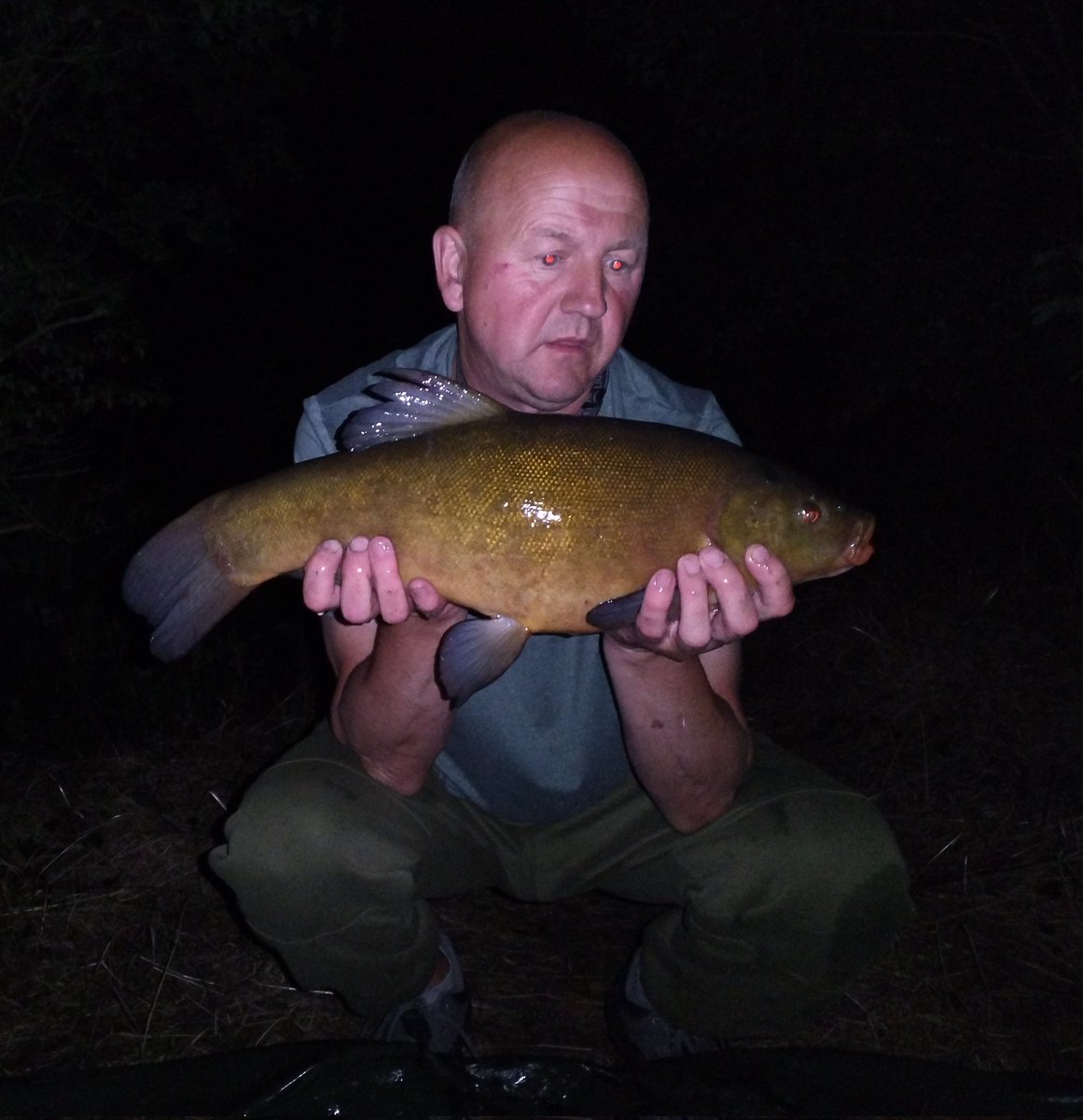 nicroberts2's tweet image. Tench and bream again in the night.
This one at 6lb worth a pic 
#tench #Hawkstonepark