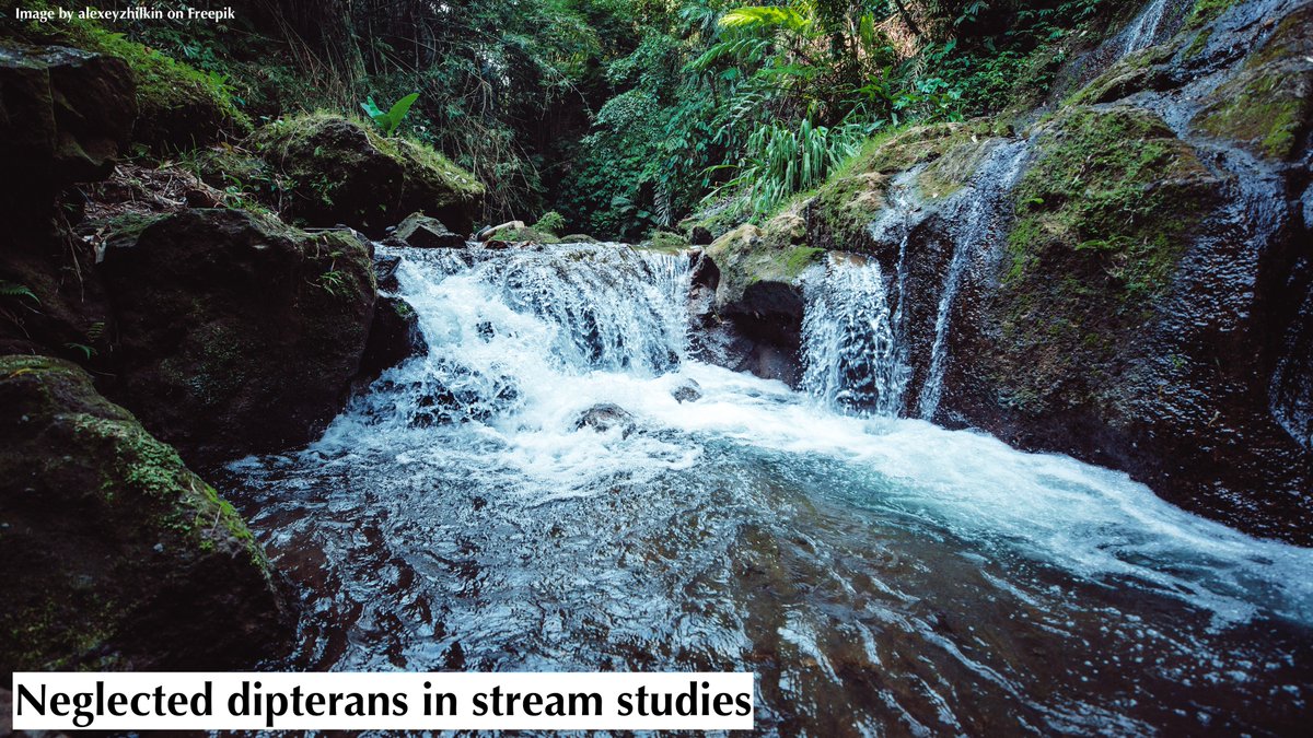Insect order Diptera underrepresentation in ecological investigations

A focused literature-based meta-analysis evaluates the average degree of #Diptera identification and the reported number of families to identify and include less abundant families

➡️doi.org/10.4081/jlimno…