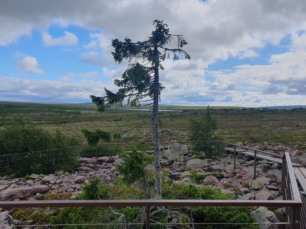 Diddeboy tweet media