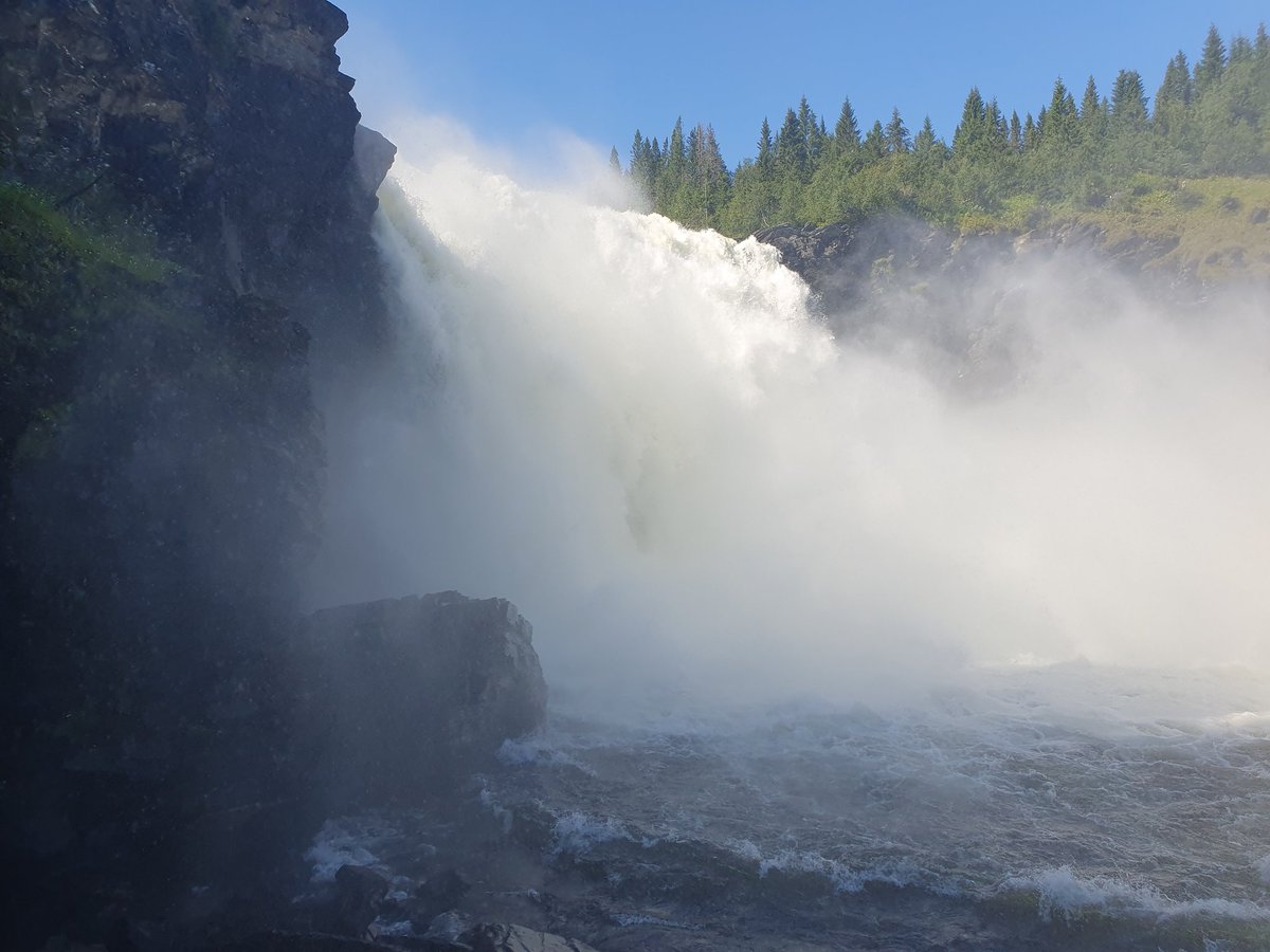 Diddeboy tweet media