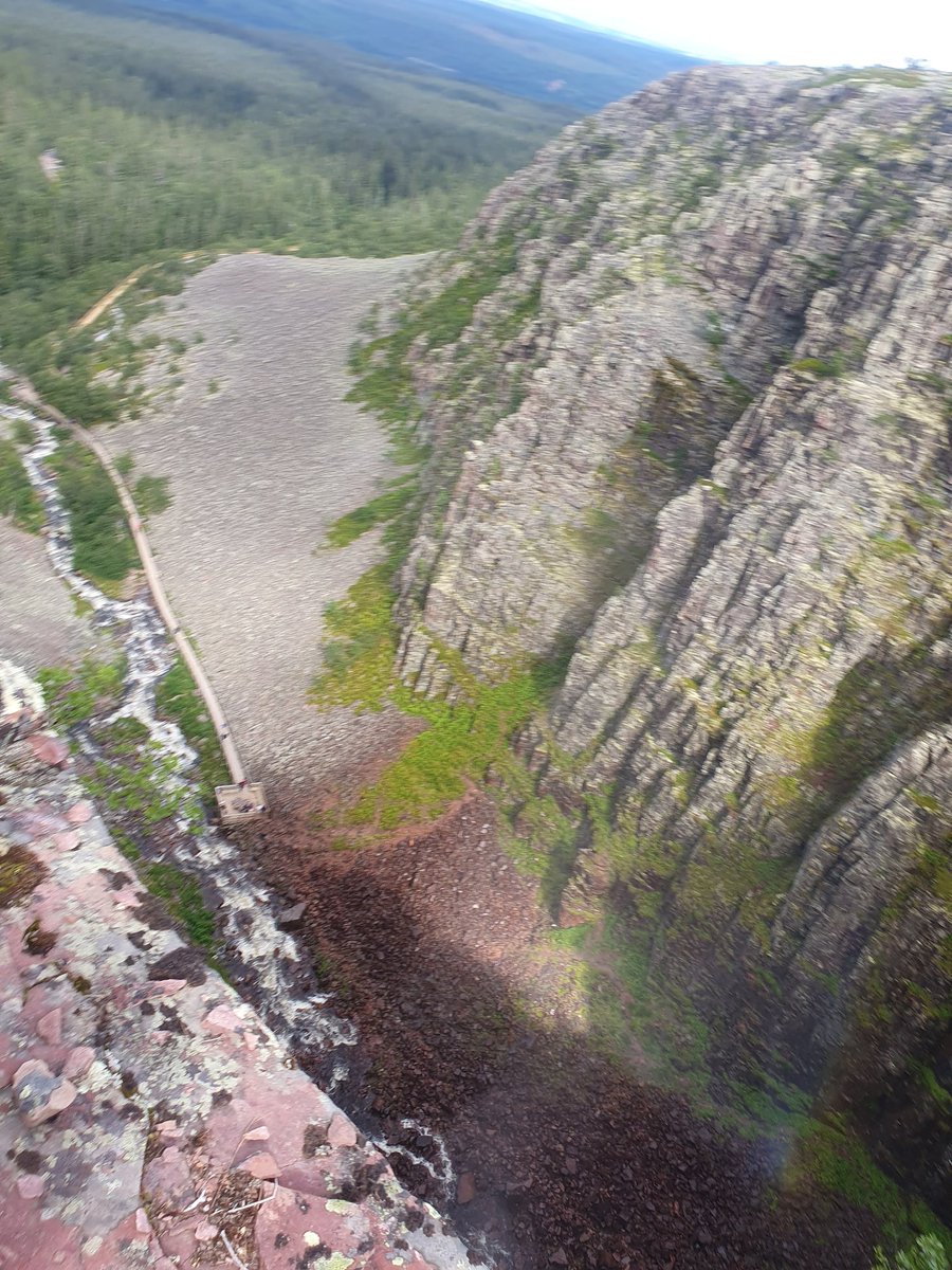 Diddeboy tweet media