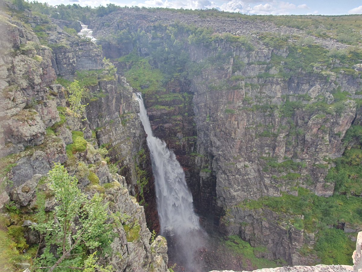 Diddeboy tweet media