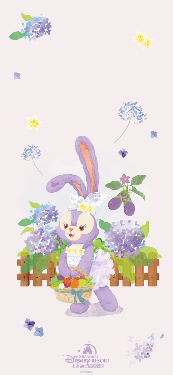 上海DLステラルースタジャン ステラ・ルー - 期間限定お値下げ！ステラ