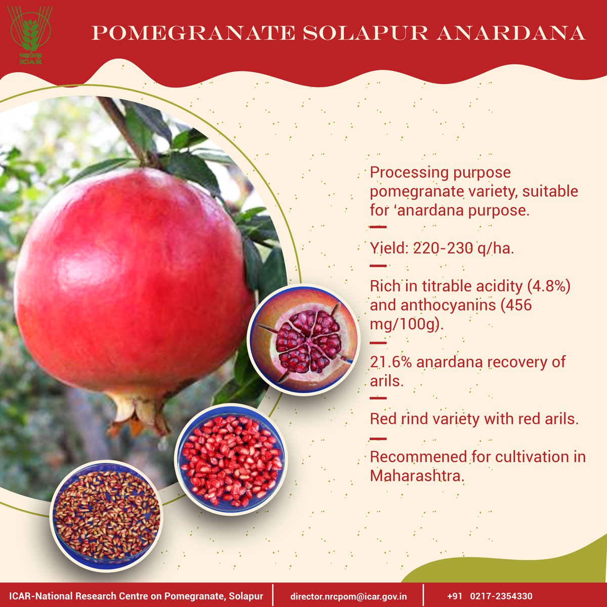 Indian Council of Agricultural Research. (@icarindia) on Twitter photo Pomegranate Solapur Anardana #OneProductOneDay #Farmer #OneICAR #variety #ICAR <a href="/PMOIndia/">PMO India</a> <a href="/PIB_India/">PIB India</a> <a href="/mygovindia/">MyGovIndia</a>
<a href="/AgriGoI/">Agriculture INDIA</a> <a href="/DDKisanChannel/">Doordarshan Kisan - दूरदर्शन किसान</a> <a href="/Dept_of_AHD/">Dept of Animal Husbandry & Dairying, Min of FAH&D</a> Pomegranate Solapur Anardana #OneProductOneDay #Farmer #OneICAR #variety #ICAR <a href="/PMOIndia/">PMO India</a> <a href="/PIB_India/">PIB India</a> <a href="/mygovindia/">MyGovIndia</a>
<a href="/AgriGoI/">Agriculture INDIA</a> <a href="/DDKisanChannel/">Doordarshan Kisan - दूरदर्शन किसान</a> <a href="/Dept_of_AHD/">Dept of Animal Husbandry & Dairying, Min of FAH&D</a>