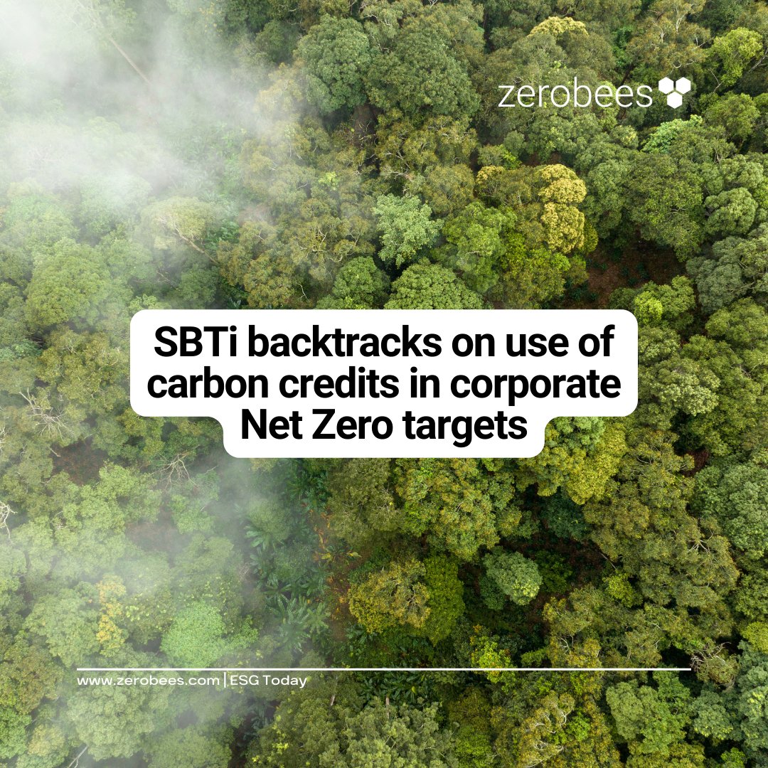 Zerobees tweet media