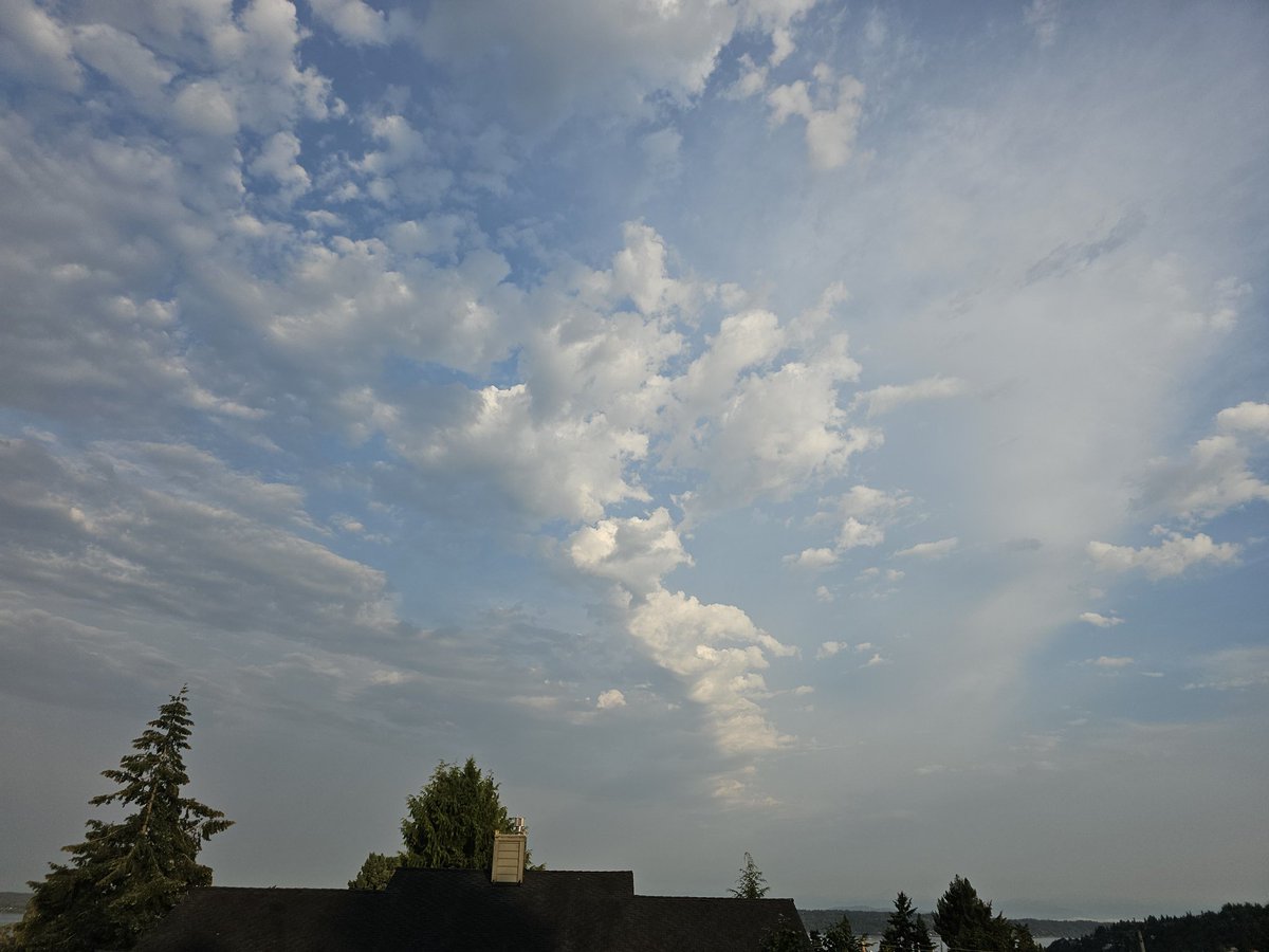 Altocumulus Castellanus #wawx can be precursor to thunderstorm activity.  Lots of lightning over Oregon continues currently. #orwx, image size:1200x900