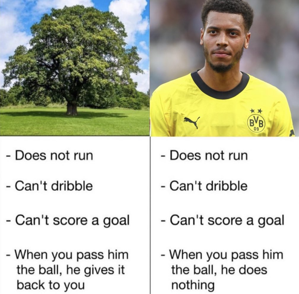 karola (@ryersonfc) on Twitter photo 