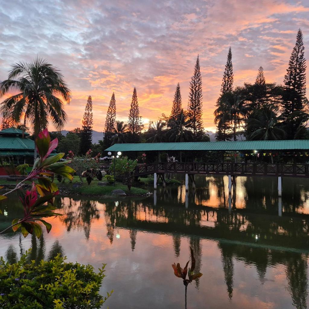 Mark Rutherford Trips tweet media