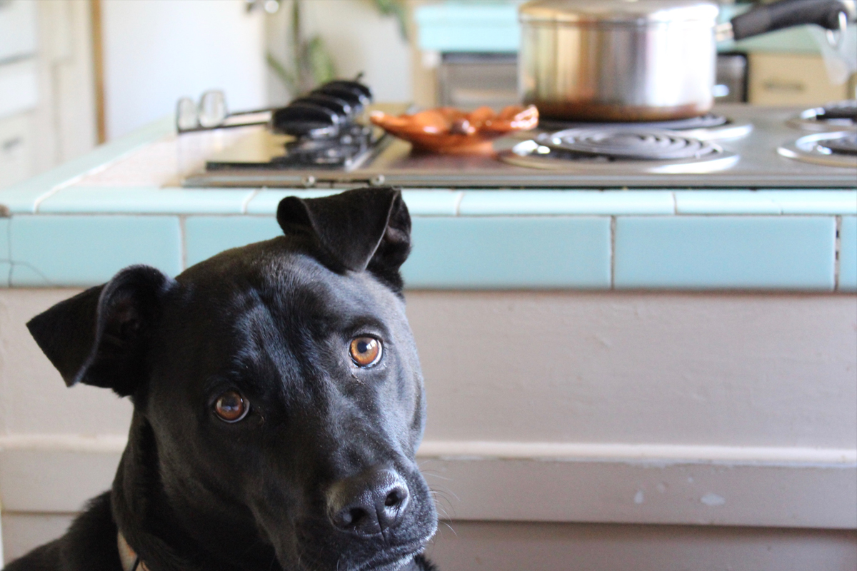 snout_in's tweet image. Check out our top 10 read stories:
1) thesnout.in/2024/07/12/str…
2) thesnout.in/2024/07/13/pet…
3) thesnout.in/2024/07/14/ope…
4) thesnout.in/2024/07/15/nor…
5) thesnout.in/2024/07/20/ani…
6) thesnout.in/2024/07/20/did…
7) thesnout.in/2024/07/13/sev…

#topread #topstories #goodreads