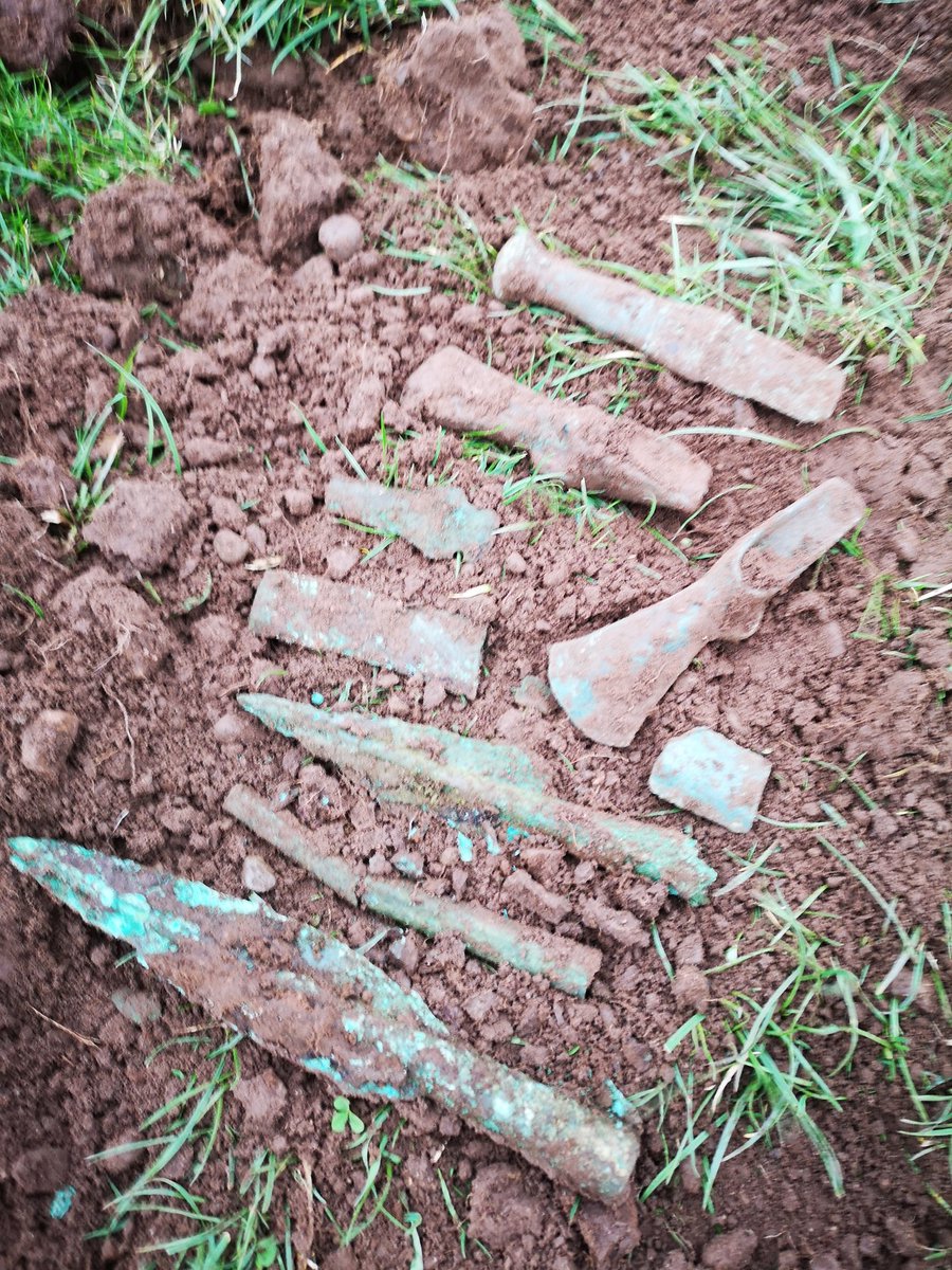 The Cumbrian Detectorist tweet media