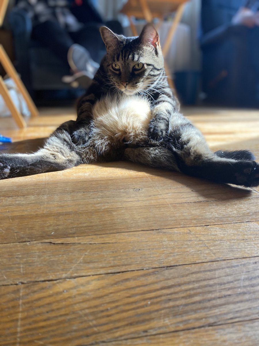 Rev. Michelle tweet media