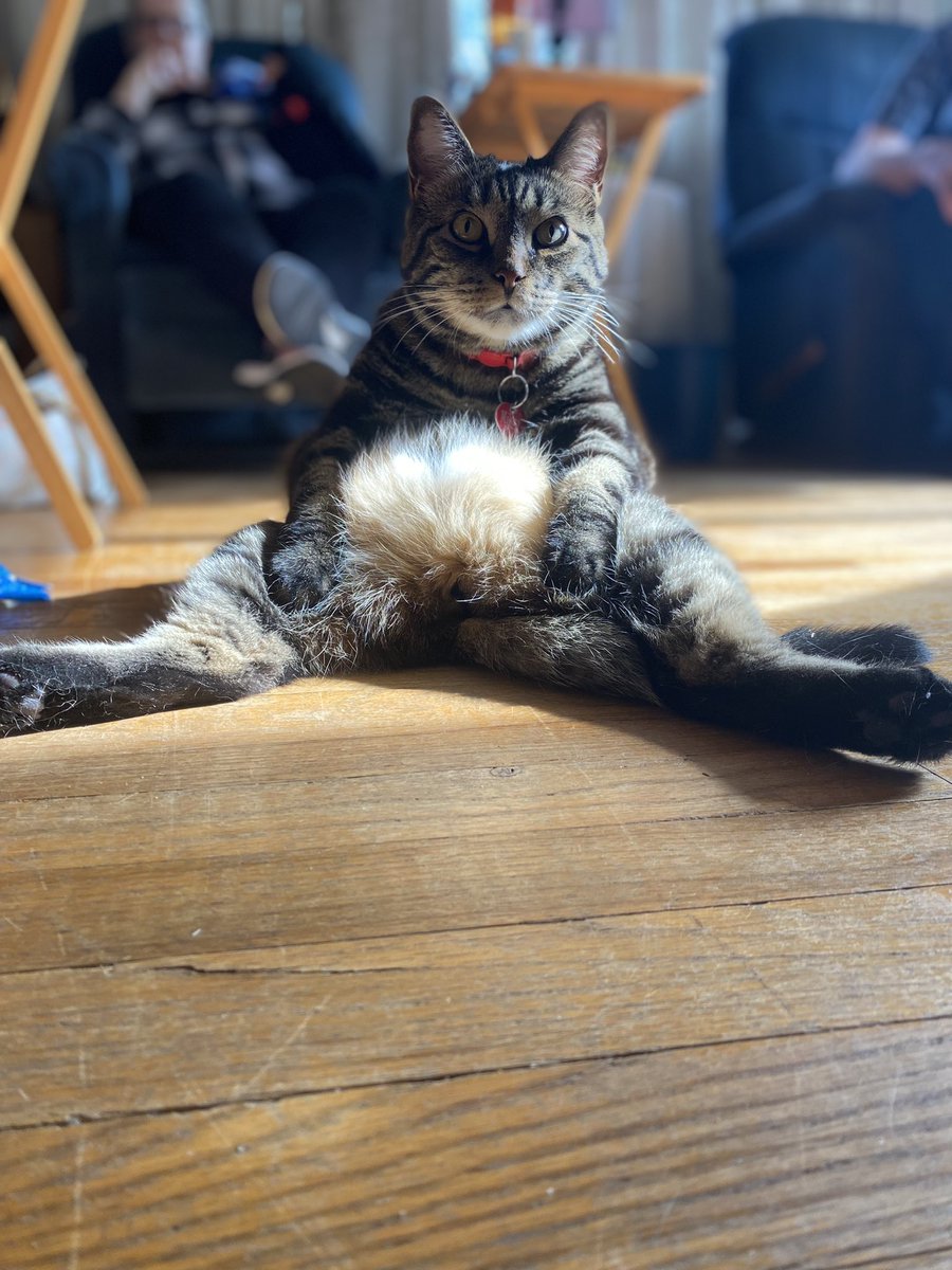 Rev. Michelle tweet media