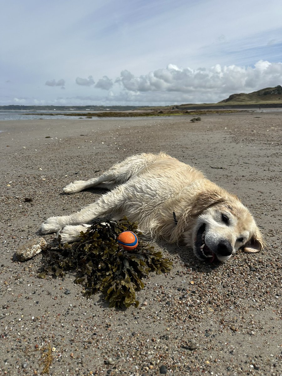 Hells Bells tweet media