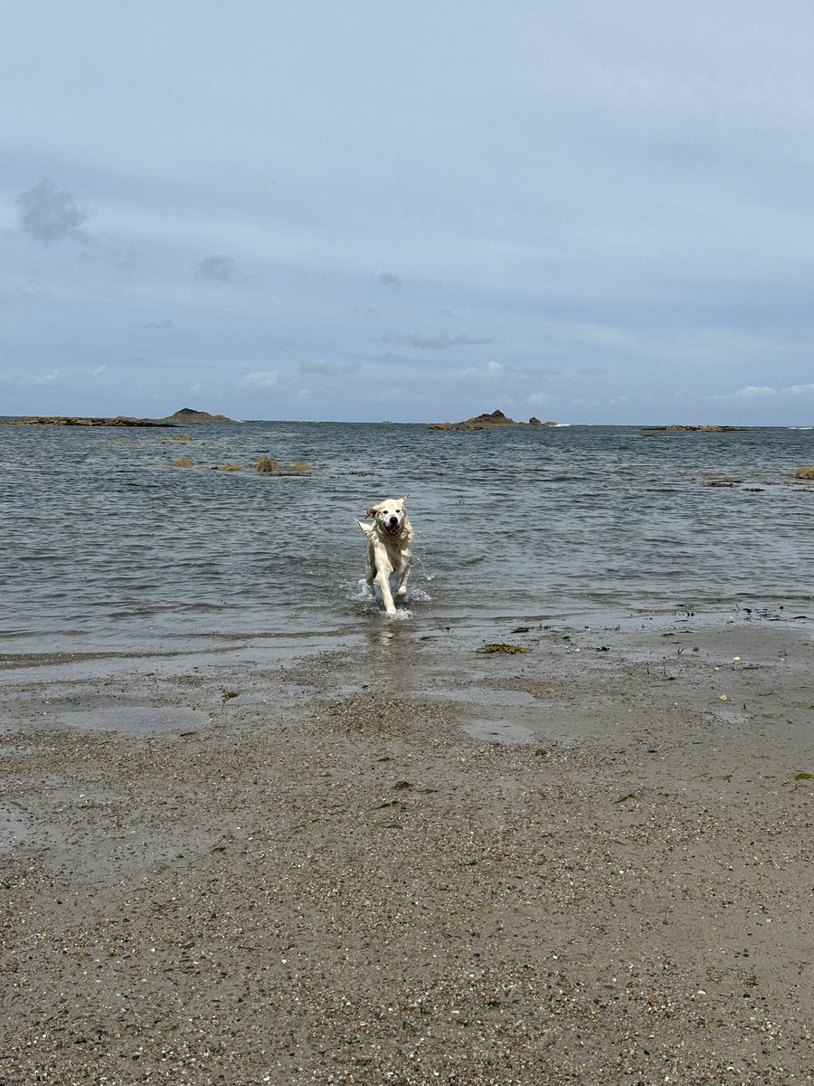 Hells Bells tweet media