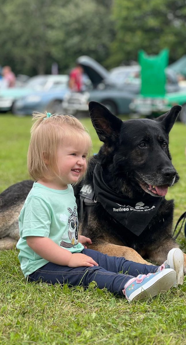 RPD Pan has been the star of the show here today. Pan’s Police Dog career saw him have to be aggressive and deal with many volatile situations. Today, in his retirement, this gentle boy, gets the pleasure of being loved and adored by many. His service to the public continues and