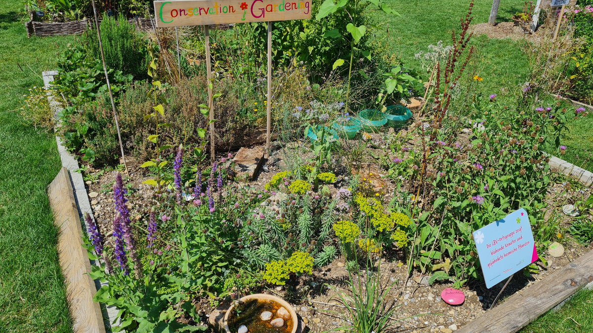 Heute ganzen Tag am LBV Stand auf Landesgartenschau in Kirchheim bei München. Unsere LBV Ortsgruppe Kirchheim, Aschheim, Feldkirchen informiert über wilde Gärten. Immer wieder beeindruckend, wie viel Natur auch in einem kleinen Naturgarten Platz findet.