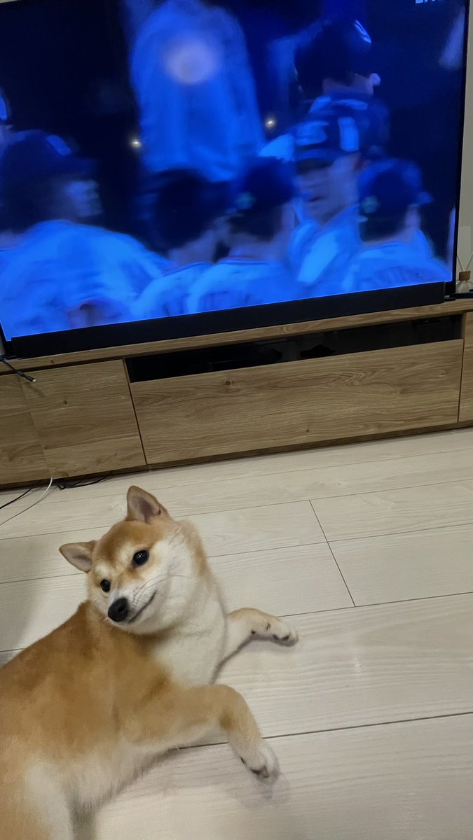 DizOniku's tweet photo. すわほー！
#swallows https://t.co/ooS87PpMbY