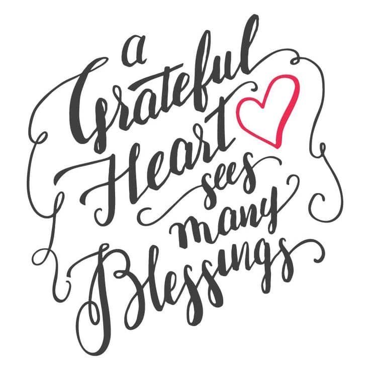 PaulaPatterson's tweet photo. Happy Sunday! https://t.co/TXqinLxtsZ