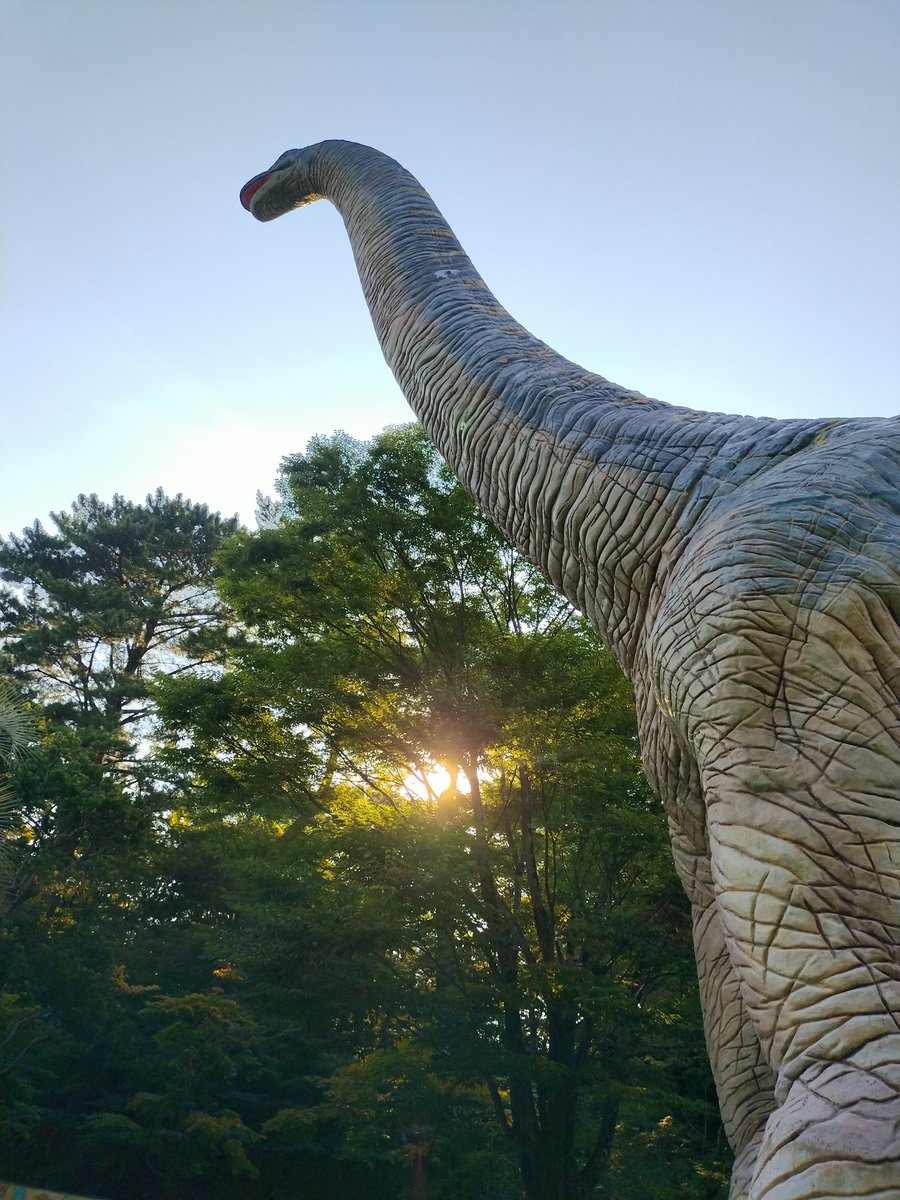 DINO_0102's tweet photo. 豊川稲荷行ったゾ～～～～
そして相変わらず某公園に行く https://t.co/ySlrAwaF1F