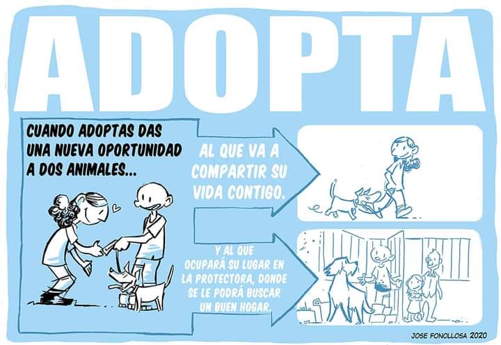 Jose Fonollosa tweet media