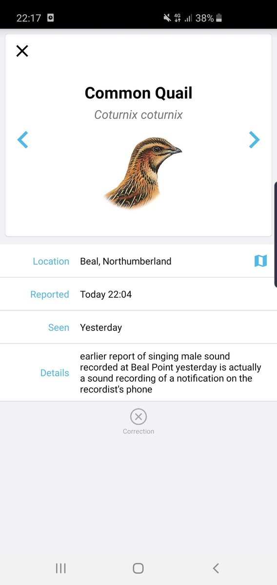 Out of Context Birdguides tweet media