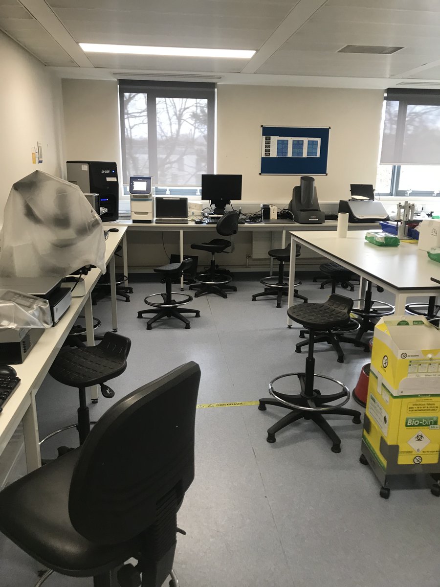 Curious about our research methods? We use physiological and psychological assessments to measure the impact of dark chocolate on wellness. Learn more about our approach. 🍫📈 #Research #WellnessInnovation #darkchocolate 80noirultra.com