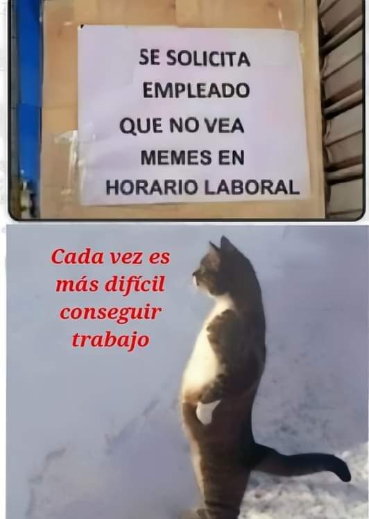 ErigolDelViento's tweet image. 