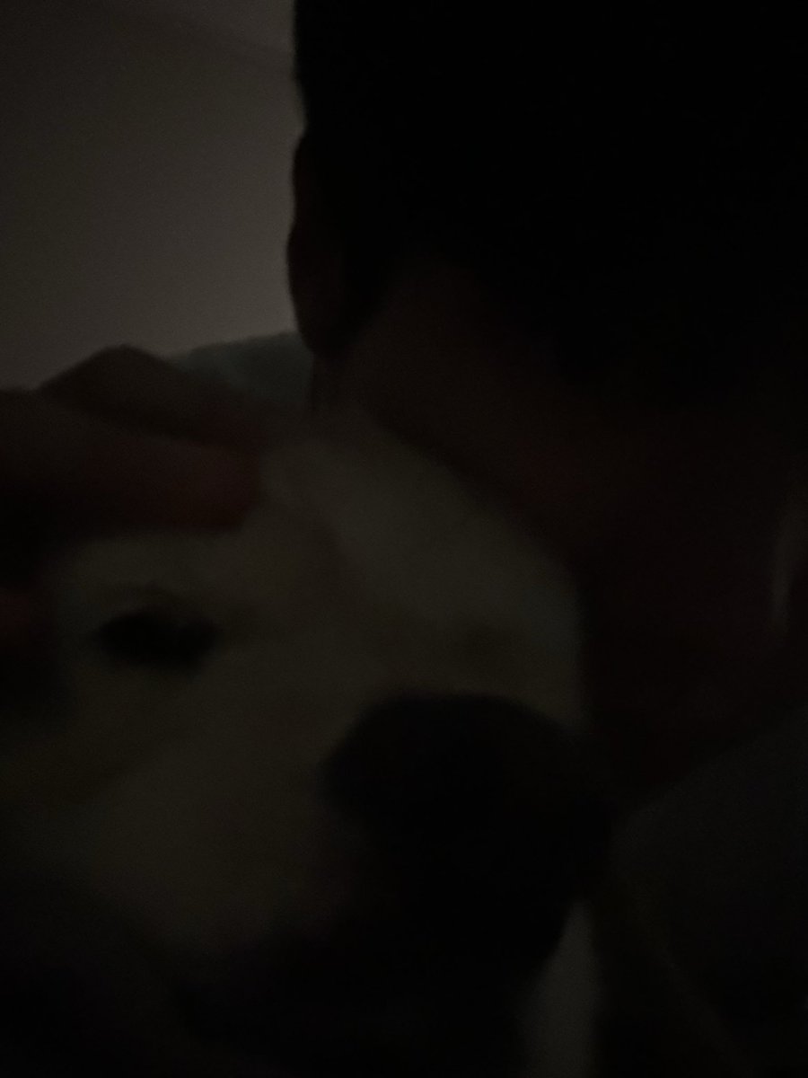 요즘 강아지는 셀카도 찍나요?