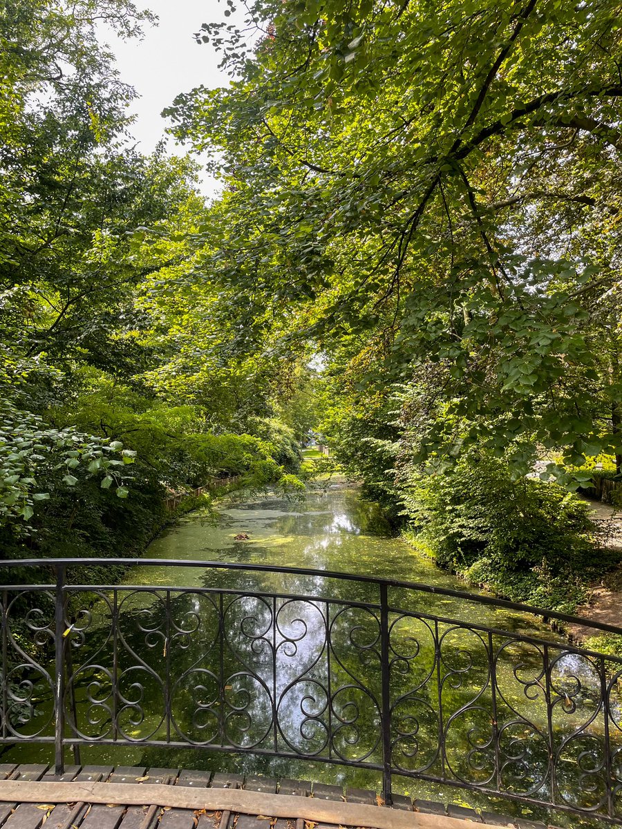 saulgooodmann's tweet photo. Je commence à penser à déménager et à vivre à Malines https://t.co/nVakksoRs1