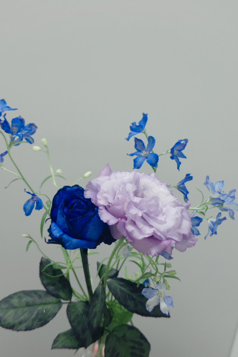 「モナ・リザの横顔」
朱鷺メッセ  2日目

ありがとうございました。皆さんも信じたいものについていってください。