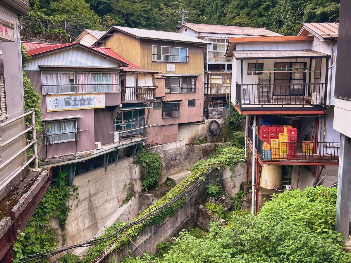 東祖谷の渓谷美からしか得られん栄養がある…！