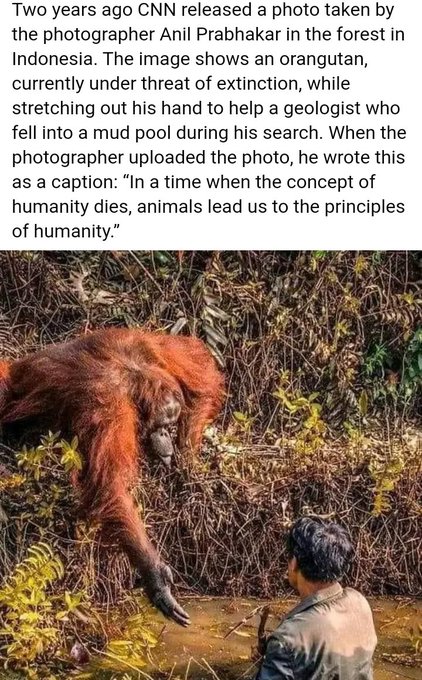 We have lost it https://t.co/6alZ71lFA1<a href="/tag/euro2024"class="tags"><span>#euro2024</span></a>