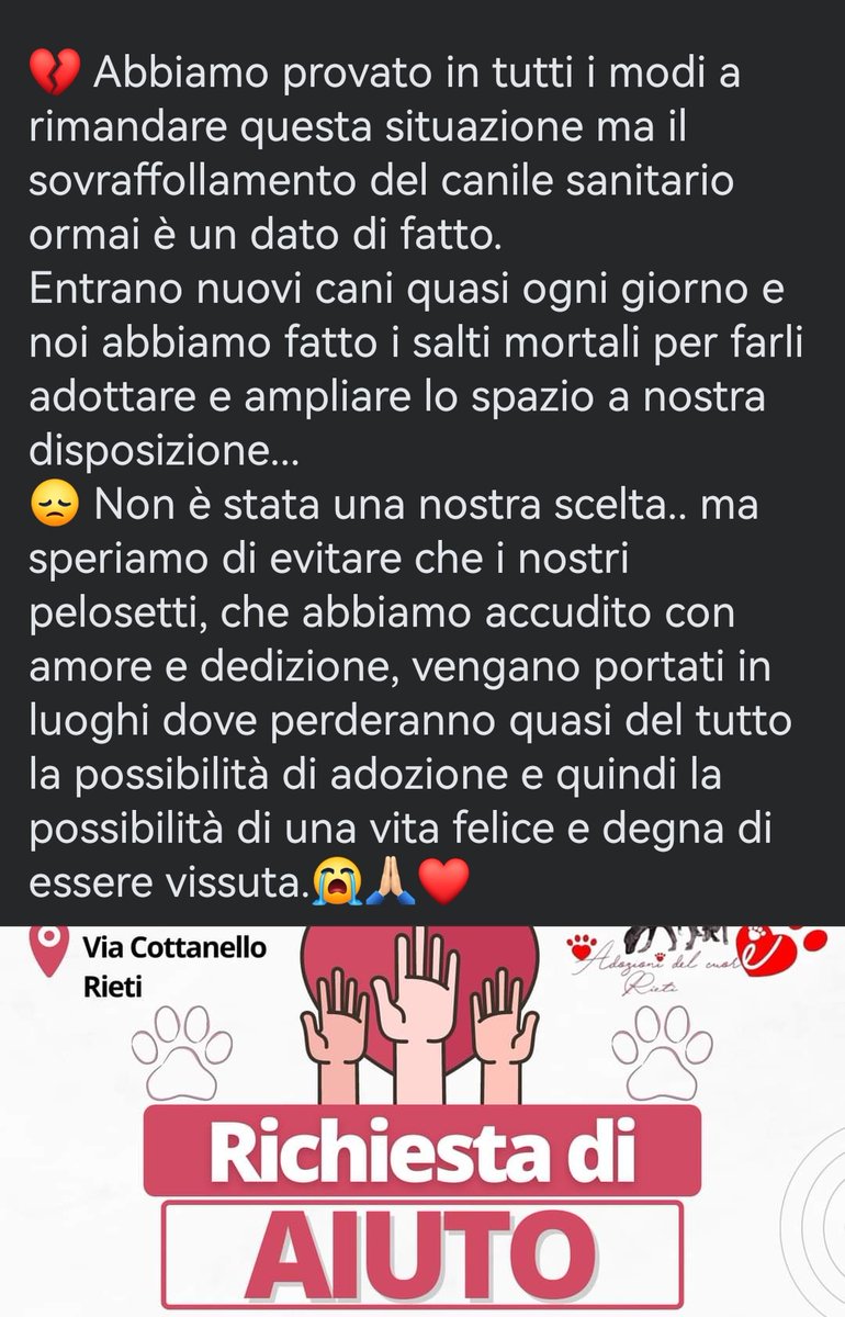 MonicaOrsini8's tweet photo. #EMERGENZA ⚠️🆘a #Rieti il #canile è pieno, molti rischiano la deportazione. Serve di tutto oltre agli #stalli #adozioni anche #adozioni a distanza! 🙏🏻🆘#SosCani #AdoptDontShop #adottanoncomprare #adottauncanedalcanile #canicercacasa #adozionecani #adozionidelcuore Info👇🏻 https://t.co/GgqIZOajJ1